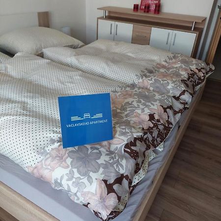Vaclavskeho Apartment Medzilaborce Bagian luar foto