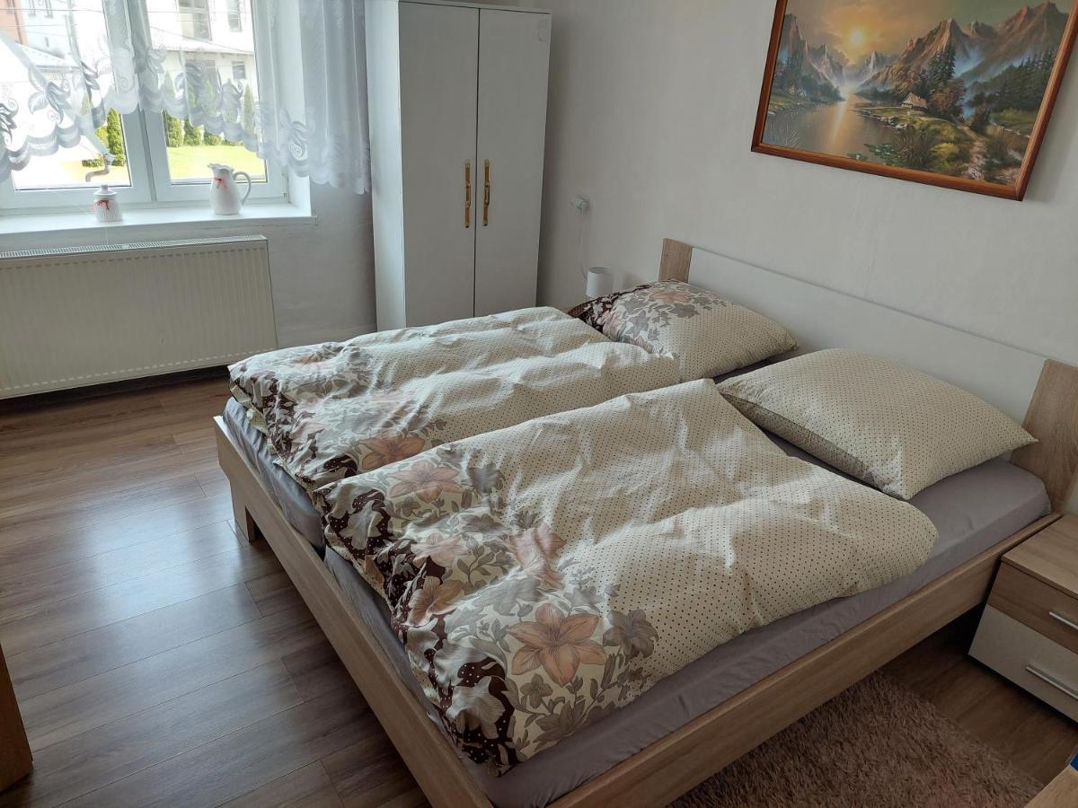 Vaclavskeho Apartment Medzilaborce Bagian luar foto