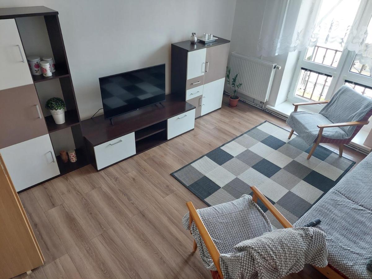 Vaclavskeho Apartment Medzilaborce Bagian luar foto