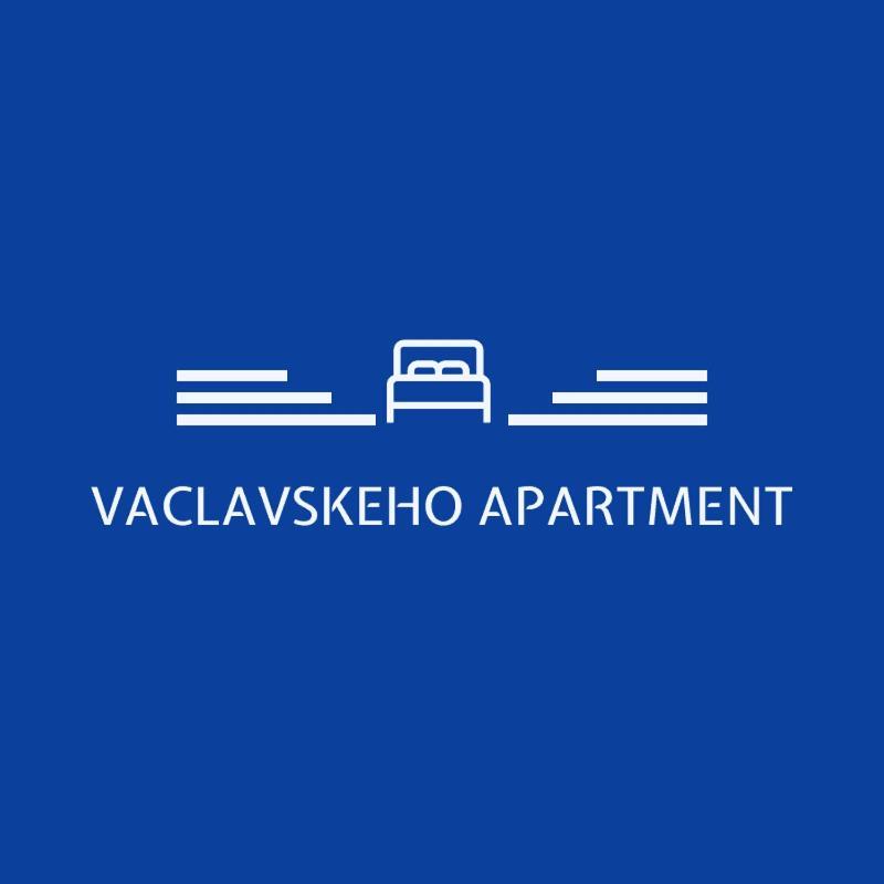 Vaclavskeho Apartment Medzilaborce Bagian luar foto