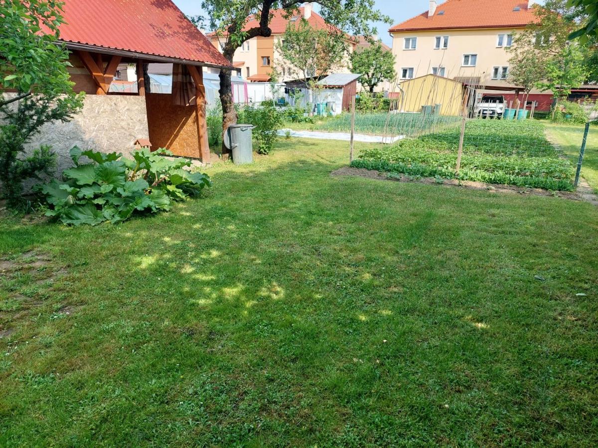 Vaclavskeho Apartment Medzilaborce Bagian luar foto